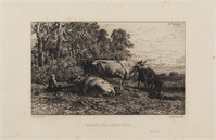 KG 14233
<br/>
Landschap met Hollandse koeien
<br/>
<em>Jacques, Charles (1813 - 1894)</em>